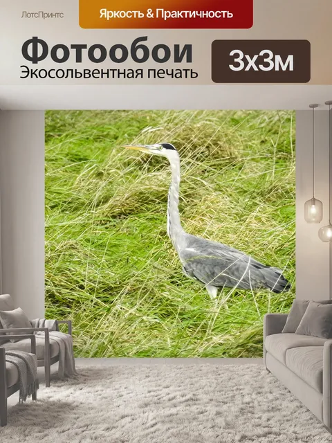 Фотообои Серая цапля