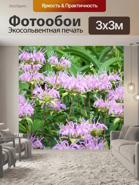 Фотообои Фиолетовый Полевые цветы