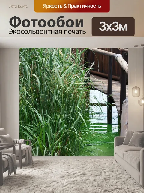 Фотообои камыш в воде и пешеходного моста