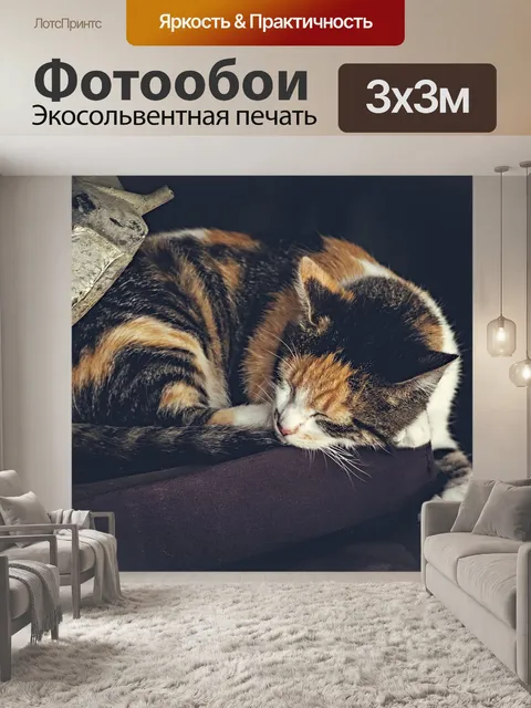 Фотообои Кошка