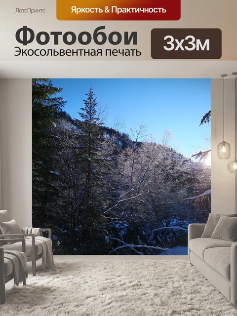 Фотообои Деревья