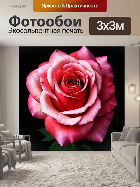 Фотообои розы в стиле фотореализм, крупный план цветка, игра света на поверхности лепестков