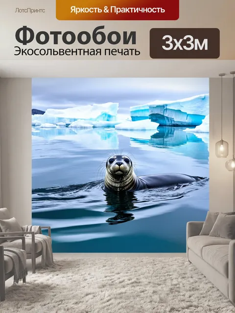 Фотообои тюлень, плавающий в ледяной воде, с айсбергами на фоне