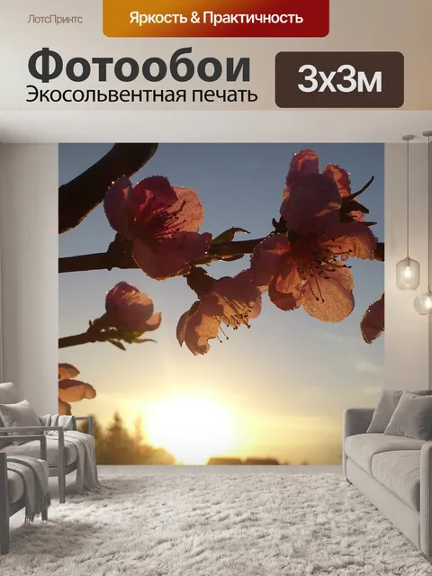 Фотообои Закат