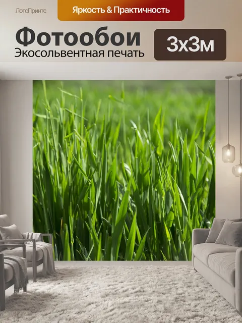 Фотообои Зеленая трава