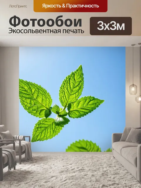 Фотообои мятный цвет, изображающие крупным планом мятные листочки на фоне чистого неба