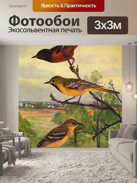 Фотообои Рисунок птицы иволги в саду