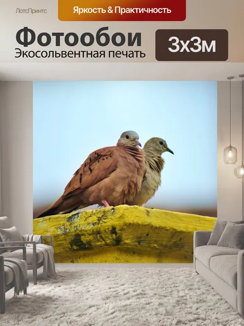 Фотообои Птица