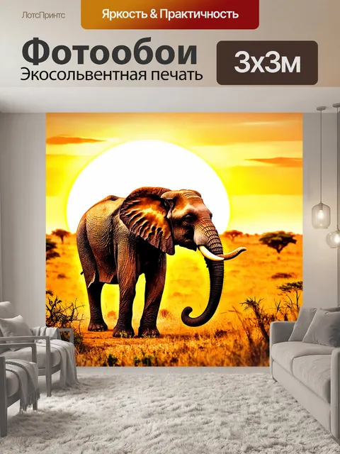 Фотообои слон на фоне заката в саванне
