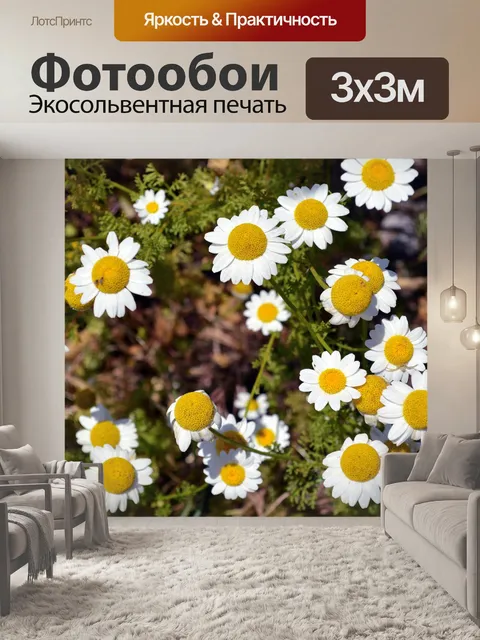 Фотообои Цветы