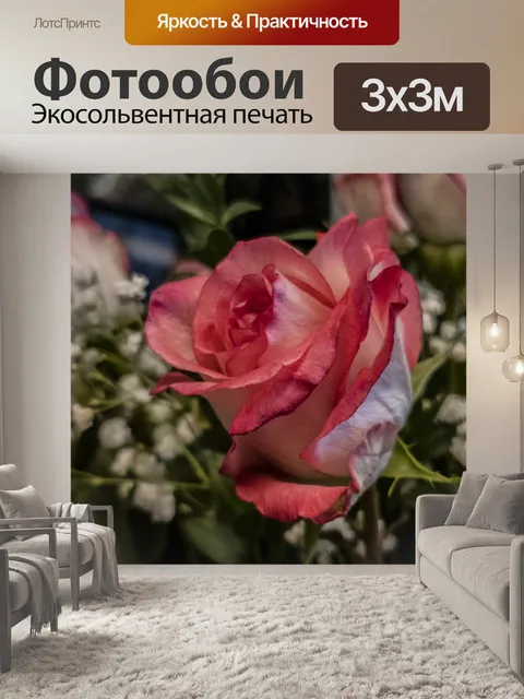Фотообои Розовые розы Цветочный фон