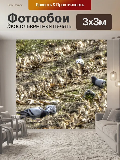 Фотообои Птицы в поле падения