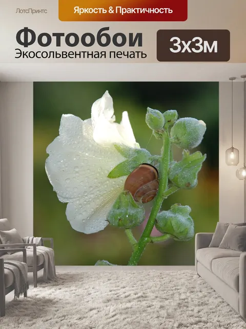 Фотообои Животное