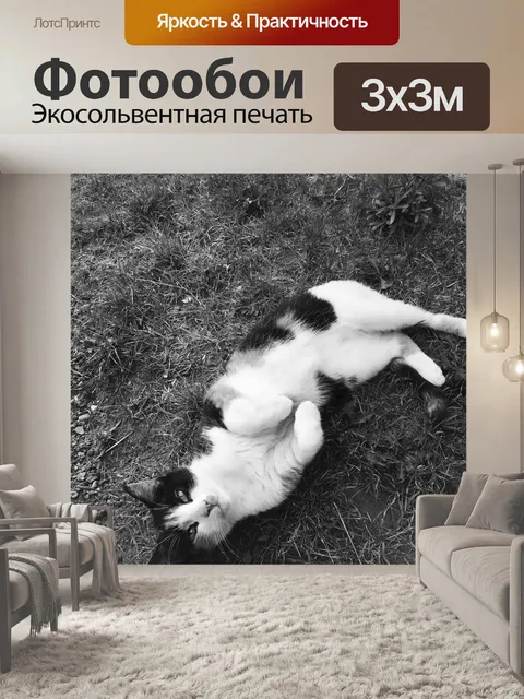 Фотообои Кошка
