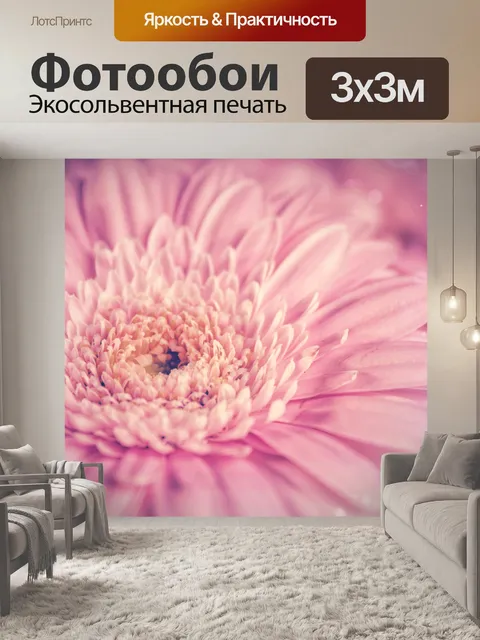 Фотообои Цветок герберы цветок розовый