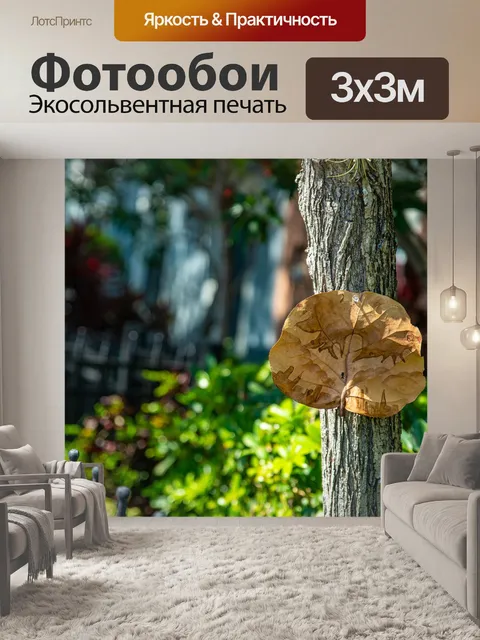 Фотообои Лист