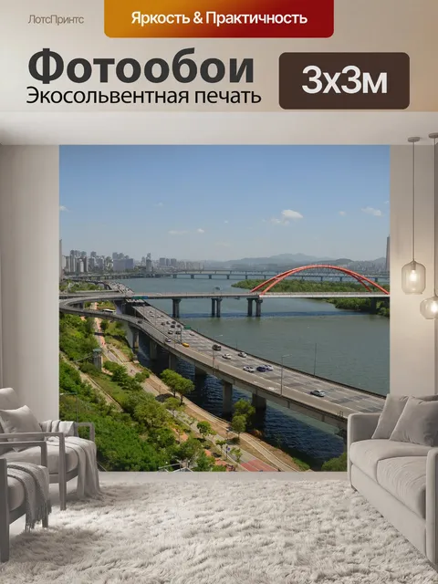 Фотообои Чаще всего сеула включают в себя