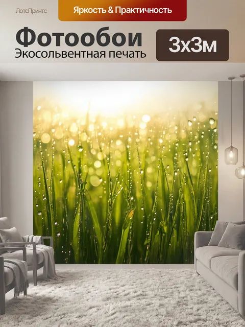 Фотообои поле, покрытое росой на утреннем солнце, с миллионами капель, сверкающих как драгоценные камни
