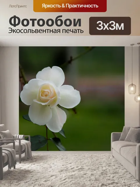 Фотообои Розовый