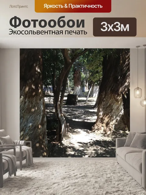 Фотообои Лес