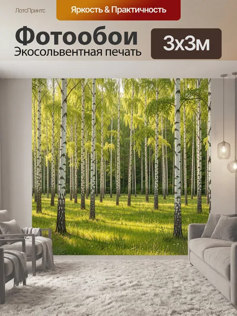 Фотообои Березовая роща в солнечный день