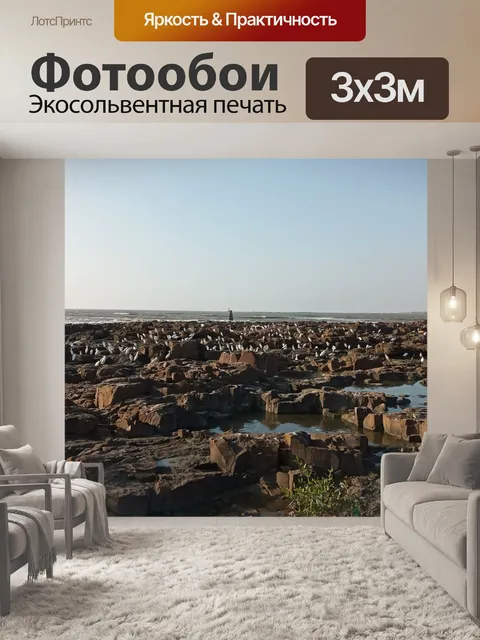 Фотообои Птицы