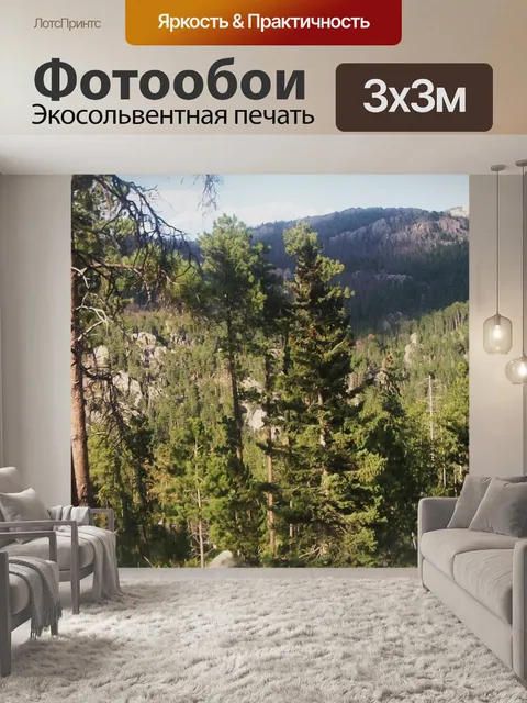 Фотообои Блэк-Хилс