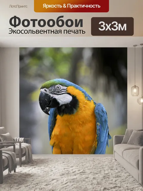 Фотообои Ара