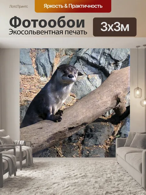 Фотообои выдра