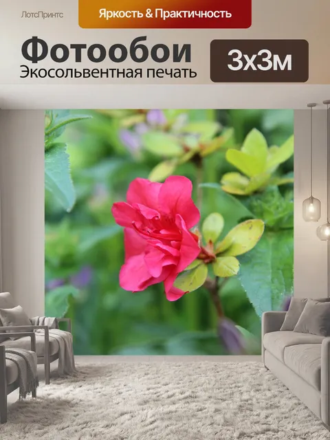 Фотообои Азалия