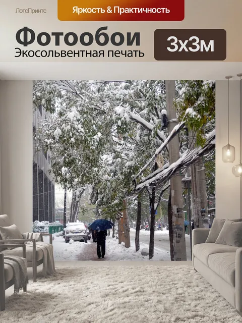 Фотообои Зимняя сцена
