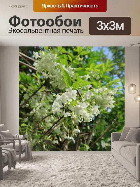 Фотообои Дерево