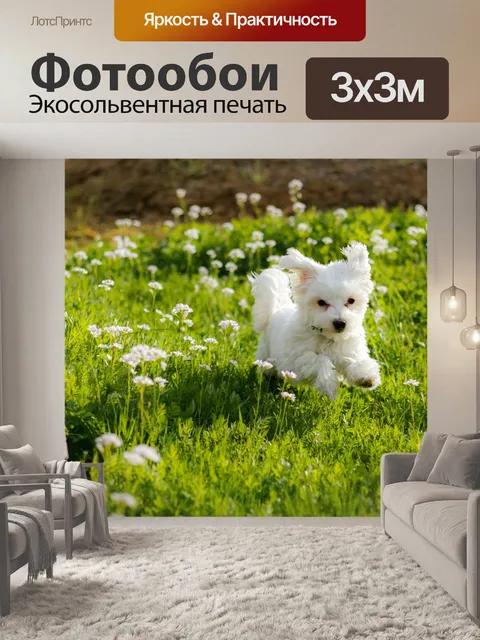 Фотообои Собака