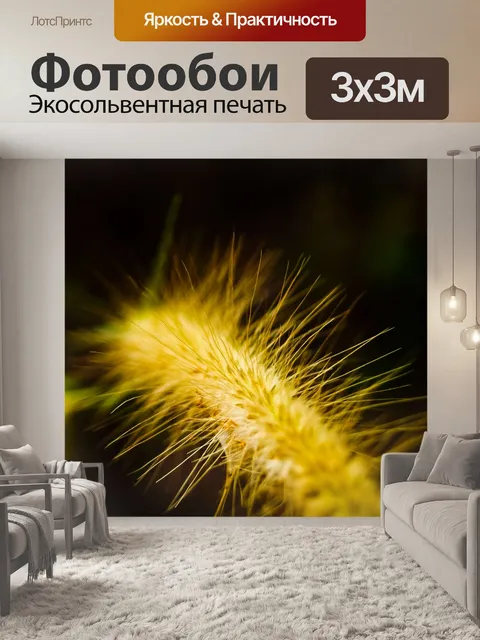 Фотообои дикий цветок трава