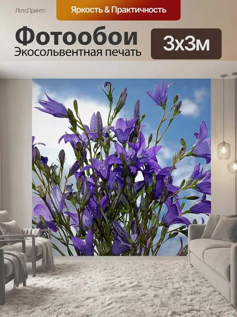 Фотообои Цветы