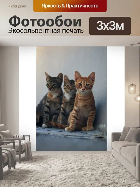 Фотообои Кошка