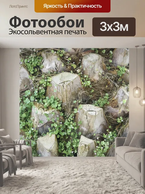 Фотообои Обрезанная пальма