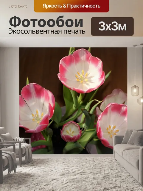 Фотообои Вид сверху розовых и белых тюльпанов