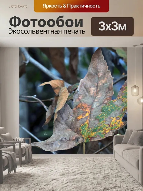 Фотообои Падение листьев
