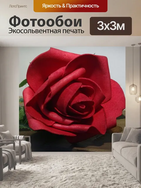 Фотообои Красная роза крупным планом