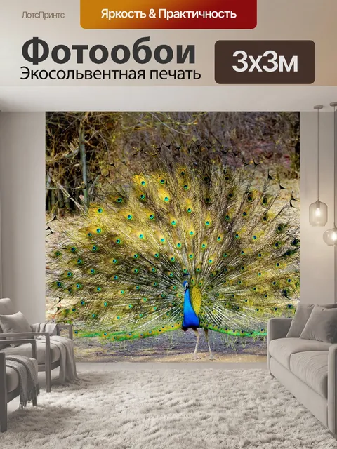Фотообои Павлин