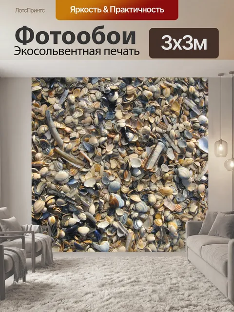 Фотообои Моллюски