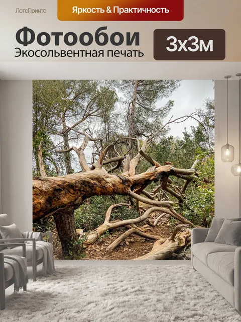 Фотообои Дерево