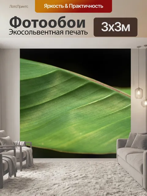 Фотообои Банановый лист