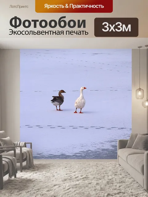 Фотообои Гуси