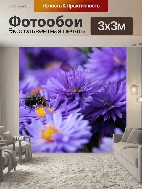 Фотообои Bluebottle