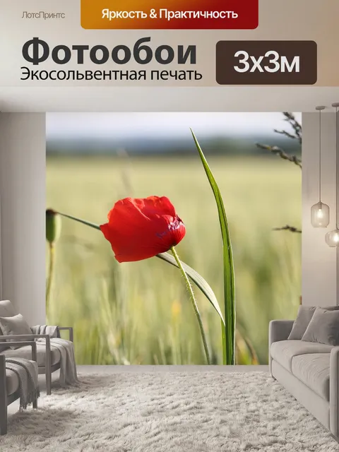 Фотообои Красный мак в пшеничном поле