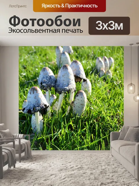 Фотообои Грибы