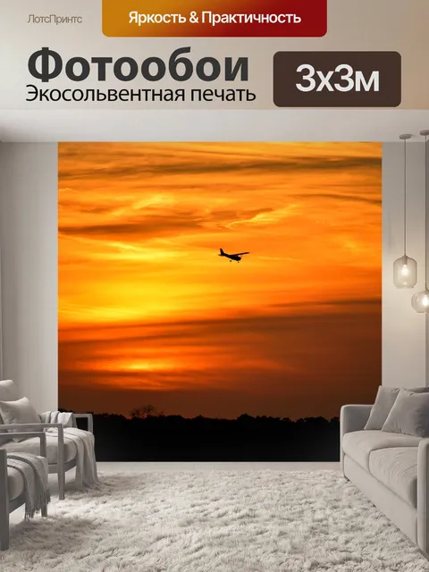 Фотообои Самолет, летевший на закате