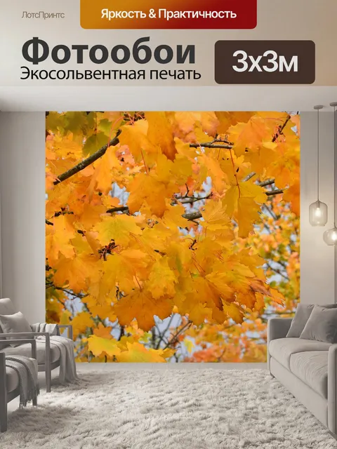 Фотообои Листья клена